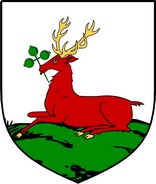 Product picture Bowen  Family Crest / Irish Coat of Arms Image Download