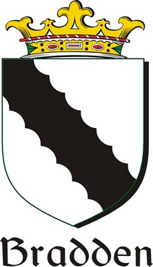 Product picture Bradden Family Crest / Irish Coat of Arms Image Download