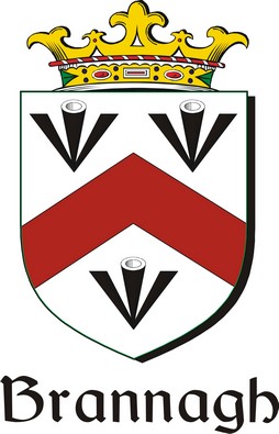 Product picture Brannagh Family Crest / Irish Coat of Arms Image Download