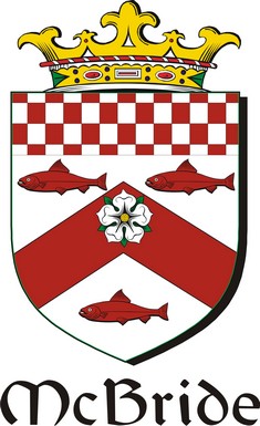 Product picture Bride-Mc Family Crest / Irish Coat of Arms Image Download