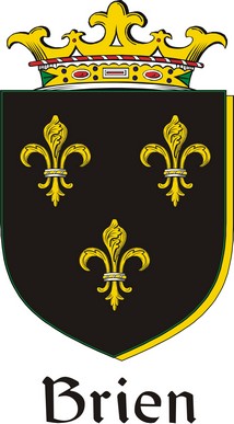 Product picture Brien Family Crest / Irish Coat of Arms Image Download