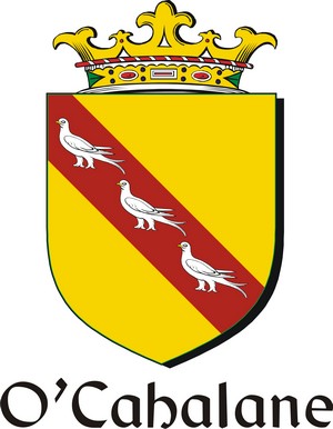 Product picture Cahalane-O Family Crest / Irish Coat of Arms Image Download