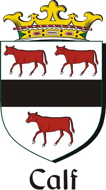 Product picture Calf Family Crest / Irish Coat of Arms Image Download