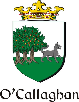 Product picture Callaghan-O Family Crest / Irish Coat of Arms Image Download
