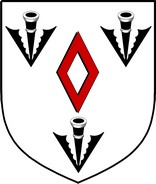 Product picture Carden Family Crest / Irish Coat of Arms Image Download