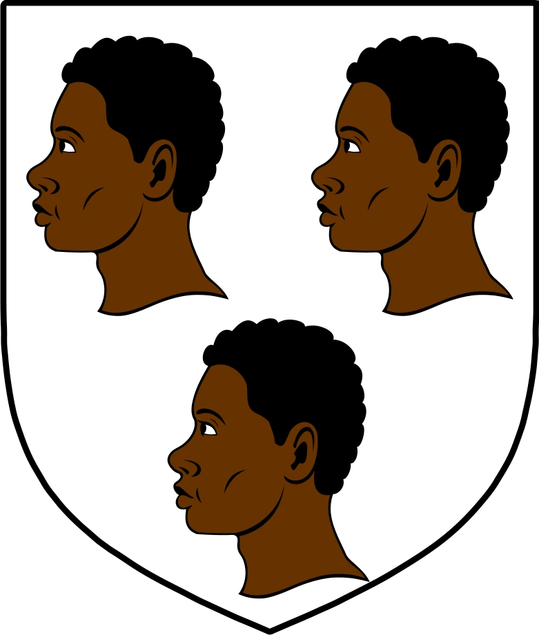 Product picture Cardiffe Family Crest / Irish Coat of Arms Image Download