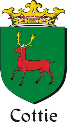Product picture Cottie Family Crest / Irish Coat of Arms Image Download