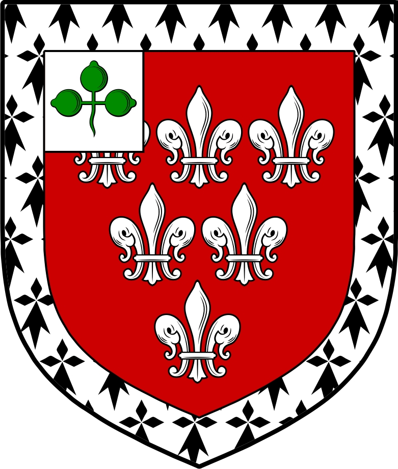 Product picture Darley Family Crest / Irish Coat of Arms Image Download