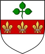 Product picture Disney Family Crest / Irish Coat of Arms Image Download