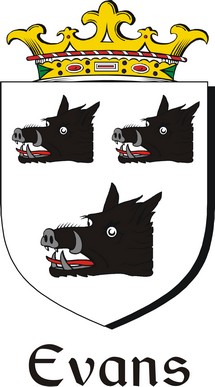 Product picture Evans-2 Family Crest / Irish Coat of Arms Image Download