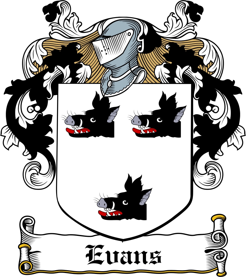 Product picture Evans Family Crest / Irish Coat of Arms Image Download