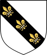 Product picture Evers Family Crest / Irish Coat of Arms Image Download