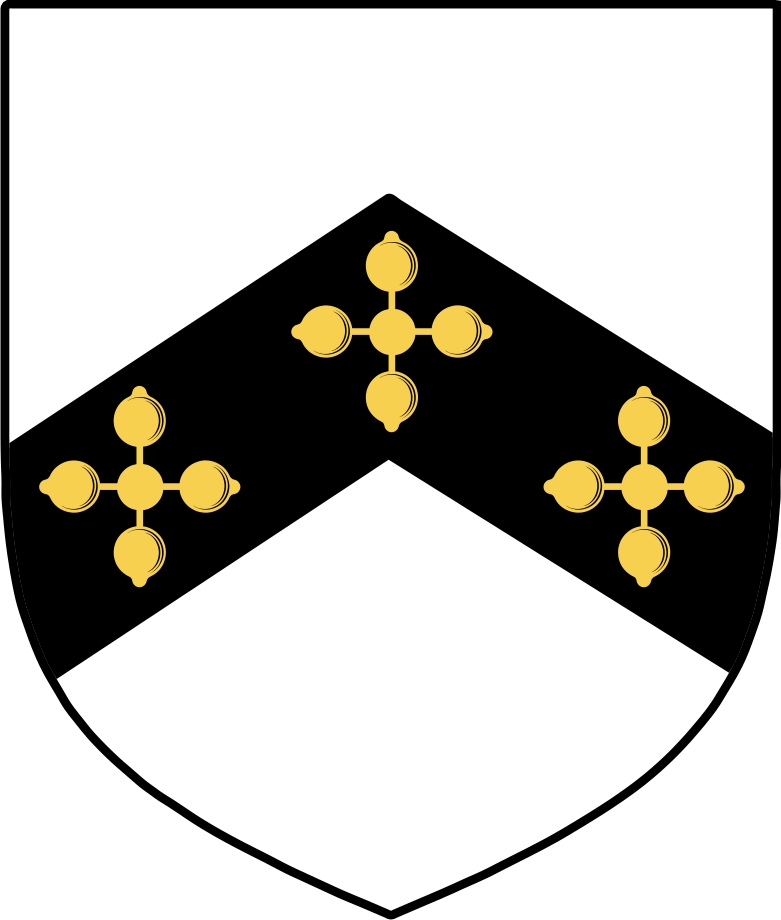 Product picture Eyre Family Crest / Irish Coat of Arms Image Download