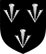 Product picture Forstall Family Crest / Irish Coat of Arms Image Download