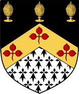 Product picture Fyan Family Crest / Irish Coat of Arms Image Download