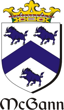 Product picture Gann-Mc Family Crest / Irish Coat of Arms Image Download