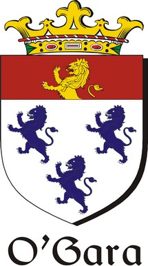 Product picture Gara-O Family Crest / Irish Coat of Arms Image Download