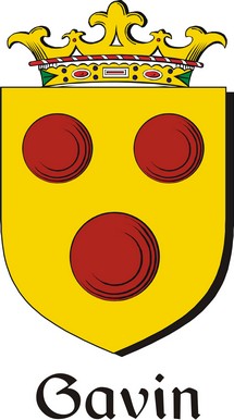 Product picture Gavin Family Crest / Irish Coat of Arms Image Download