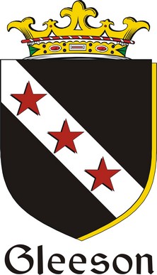 Product picture Gleeson Family Crest / Irish Coat of Arms Image Download