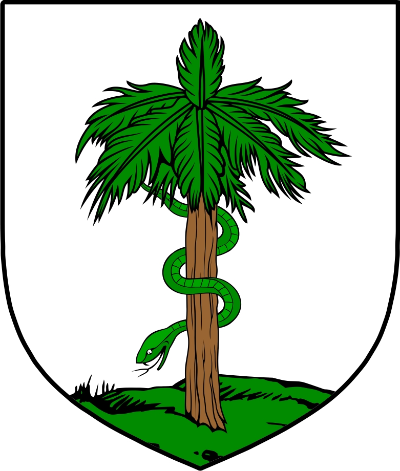 Product picture Going Family Crest / Irish Coat of Arms Image Download