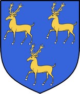 Product picture Greene Family Crest / Irish Coat of Arms Image Download