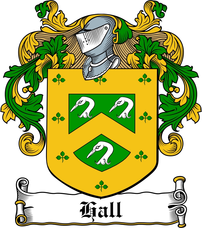 Product picture Hall Family Crest / Irish Coat of Arms Image Download