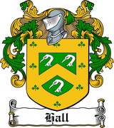 Product picture Hall Family Crest / Irish Coat of Arms Image Download