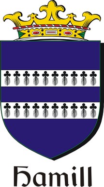Product picture Hamill Family Crest / Irish Coat of Arms Image Download