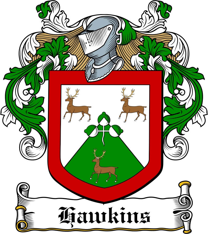 Product picture Hawkins Family Crest / Irish Coat of Arms Image Download