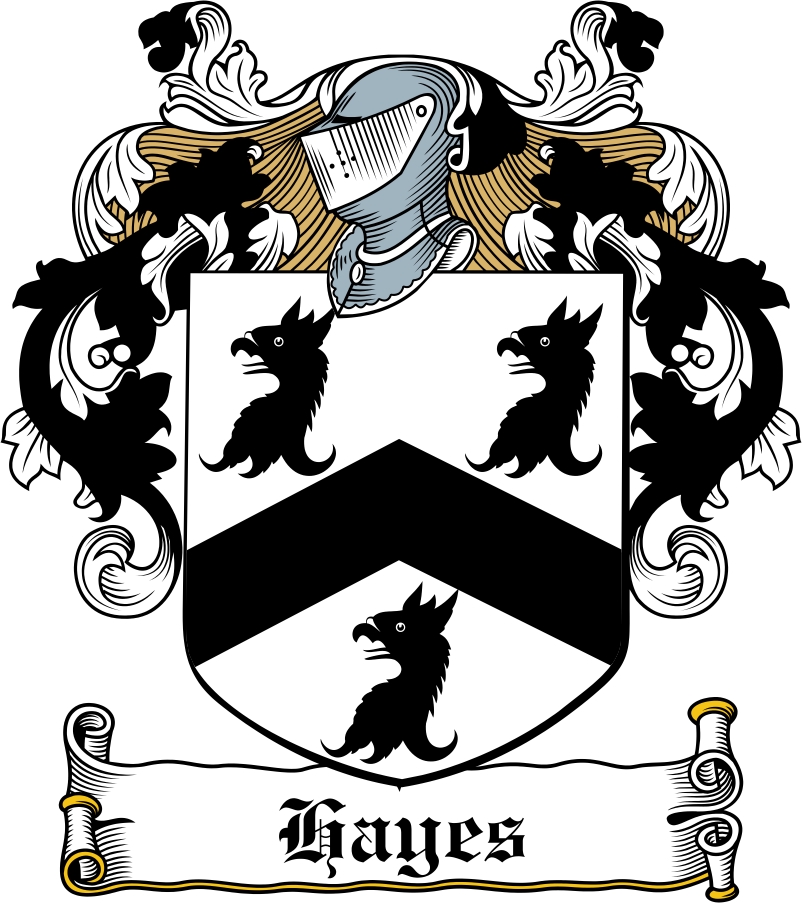 Product picture Hayes Family Crest / Irish Coat of Arms Image Download