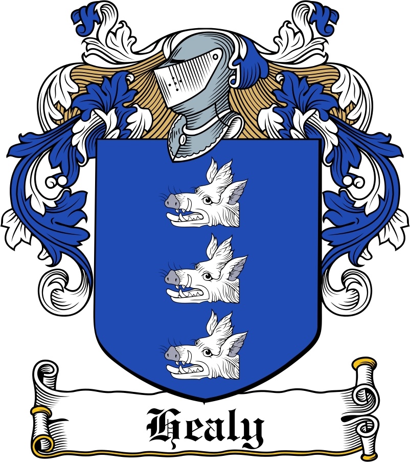 Product picture Healy Family Crest / Irish Coat of Arms Image Download