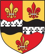 Product picture Hicks Family Crest / Irish Coat of Arms Image Download