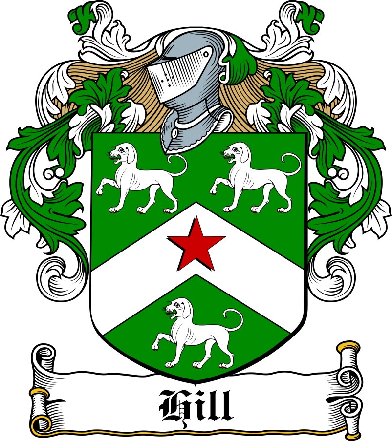 Product picture Hill Family Crest / Irish Coat of Arms Image Download
