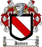 Product picture James Family Crest / Irish Coat of Arms Image Download