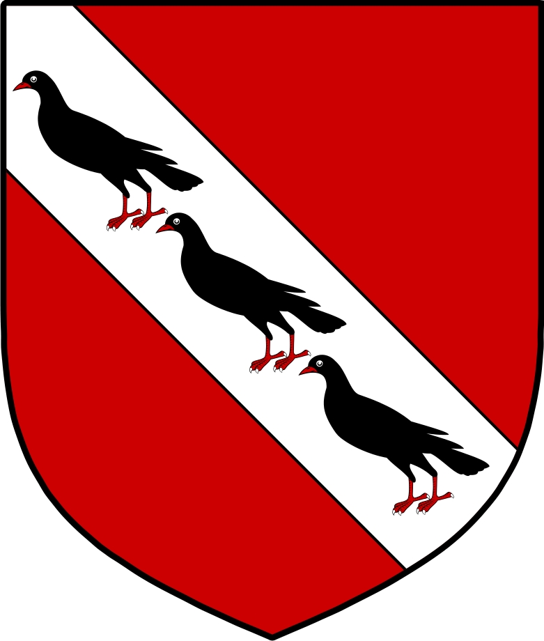 Product picture Janes Family Crest / Irish Coat of Arms Image Download