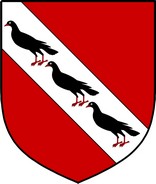 Product picture Janes Family Crest / Irish Coat of Arms Image Download