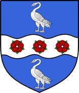 Product picture Jenyson Family Crest / Irish Coat of Arms Image Download