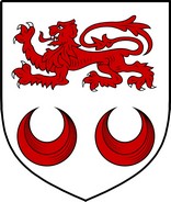 Product picture Kavanagh Family Crest / Irish Coat of Arms Image Download