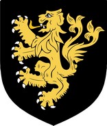 Product picture King  Family Crest / Irish Coat of Arms Image Download