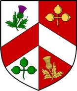 Product picture Kingston  Family Crest / Irish Coat of Arms Image Download