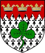 Product picture Leech  Family Crest / Irish Coat of Arms Image Download