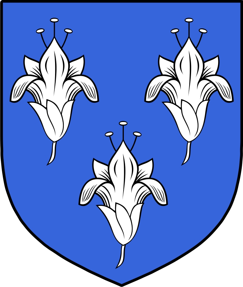 Product picture Lillie Family Crest / Irish Coat of Arms Image Download