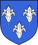 Product picture Lillie Family Crest / Irish Coat of Arms Image Download
