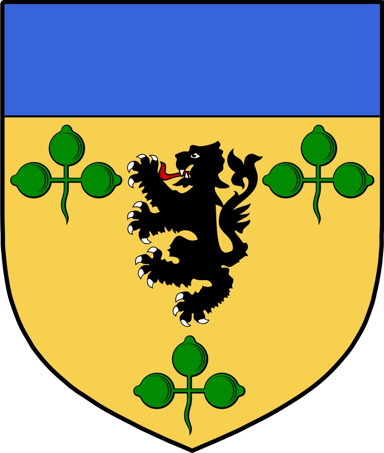 Product picture Lincolne Family Crest / Irish Coat of Arms Image Download