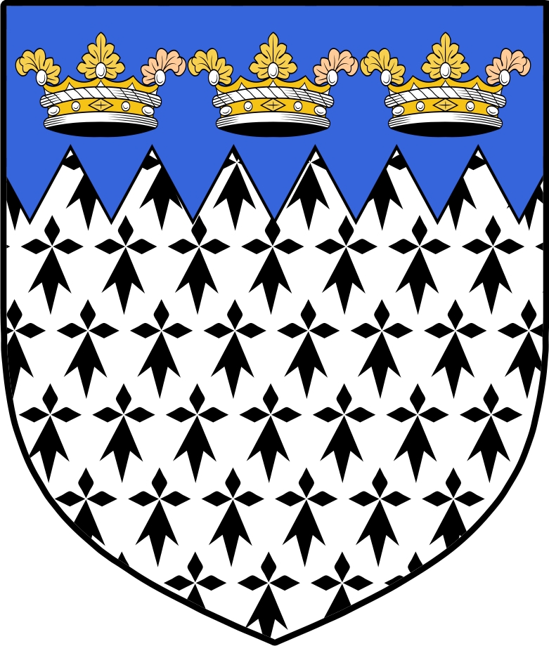 Product picture Litton Family Crest / Irish Coat of Arms Image Download