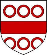 Product picture Luke Family Crest / Irish Coat of Arms Image Download