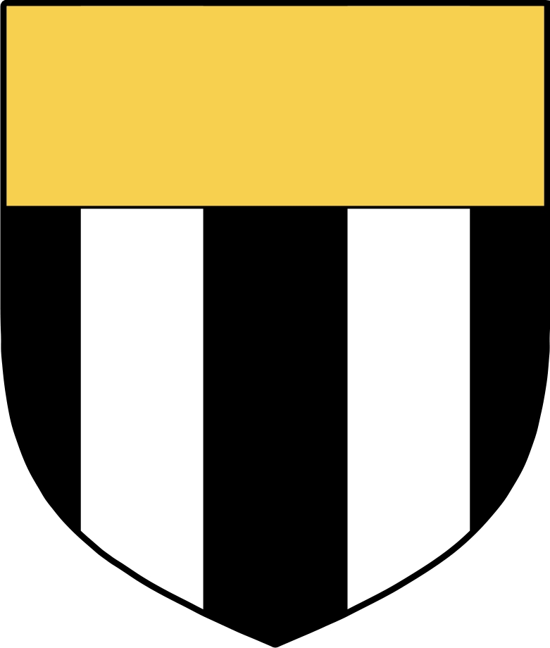 Product picture MaGinn Family Crest / Irish Coat of Arms Image Download