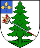 Product picture MacAlpin Family Crest / Irish Coat of Arms Image Download