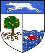 Product picture MacCoey Family Crest / Irish Coat of Arms Image Download