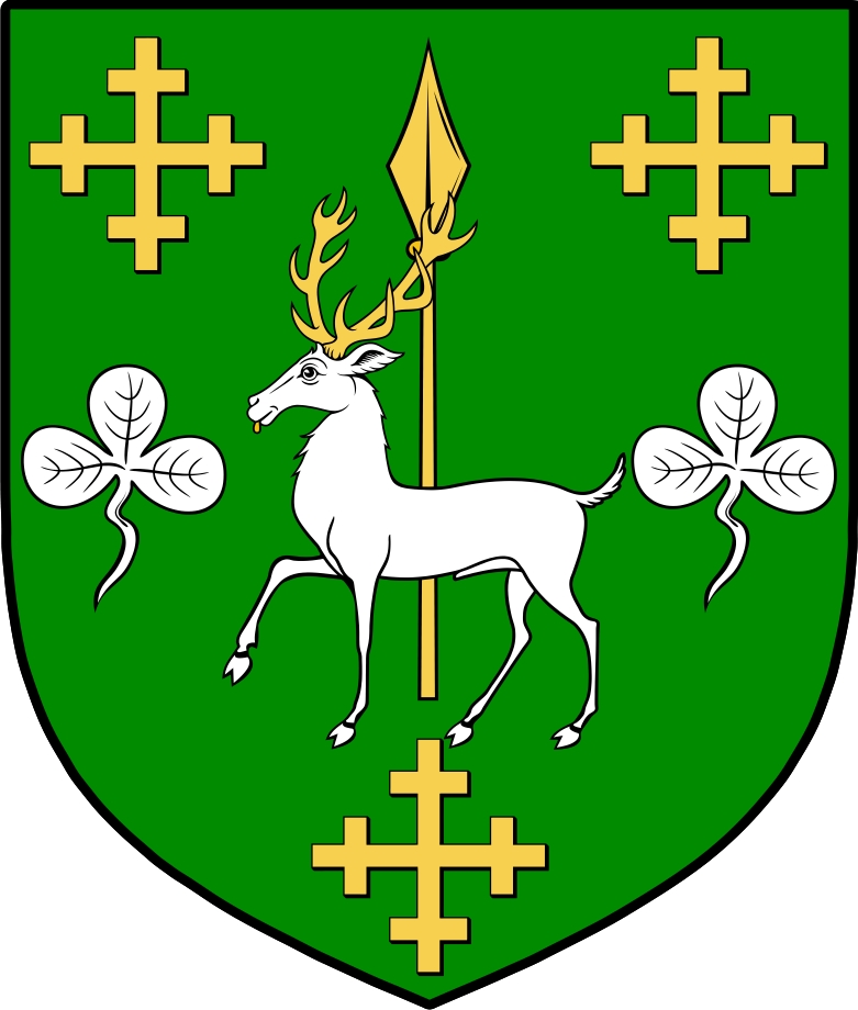 Product picture MacCurtin Family Crest / Irish Coat of Arms Image Download